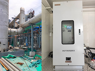 山東棗莊某化工有限公司_在線式氣體分析儀